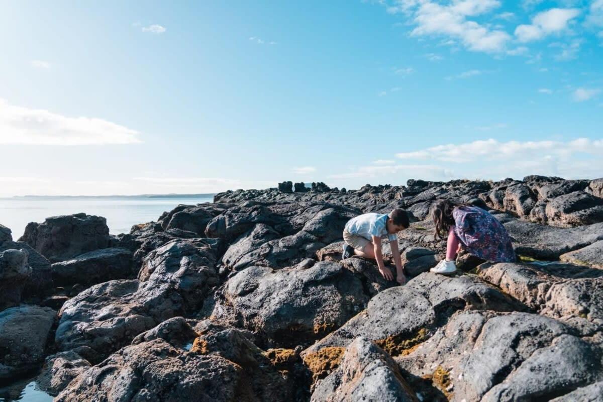 Takapuna Beachfront W Stunning Views Όκλαντ Εξωτερικό φωτογραφία